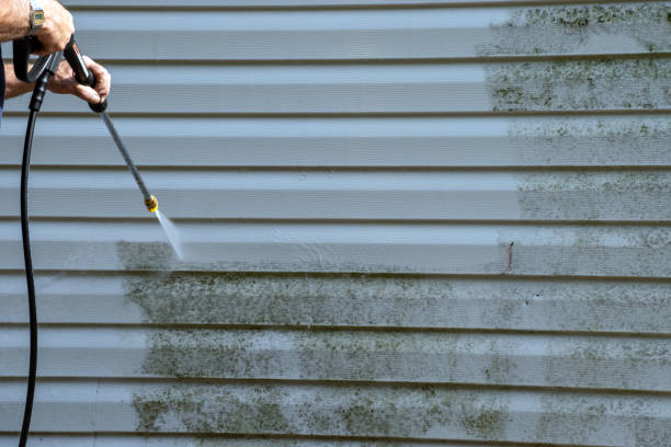 Affordable siding repair and maintenance services in Essex Fells, NJ