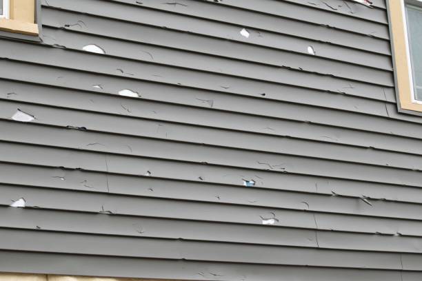 Best Fiber Cement Siding Installation  in Essex Fells, NJ