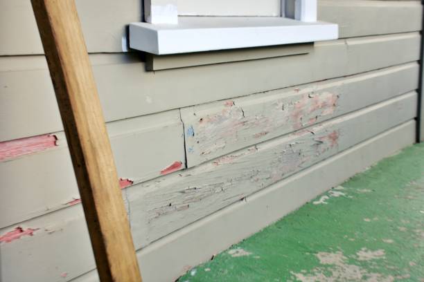 Best Weatherproofing and Sealing  in Essex Fells, NJ